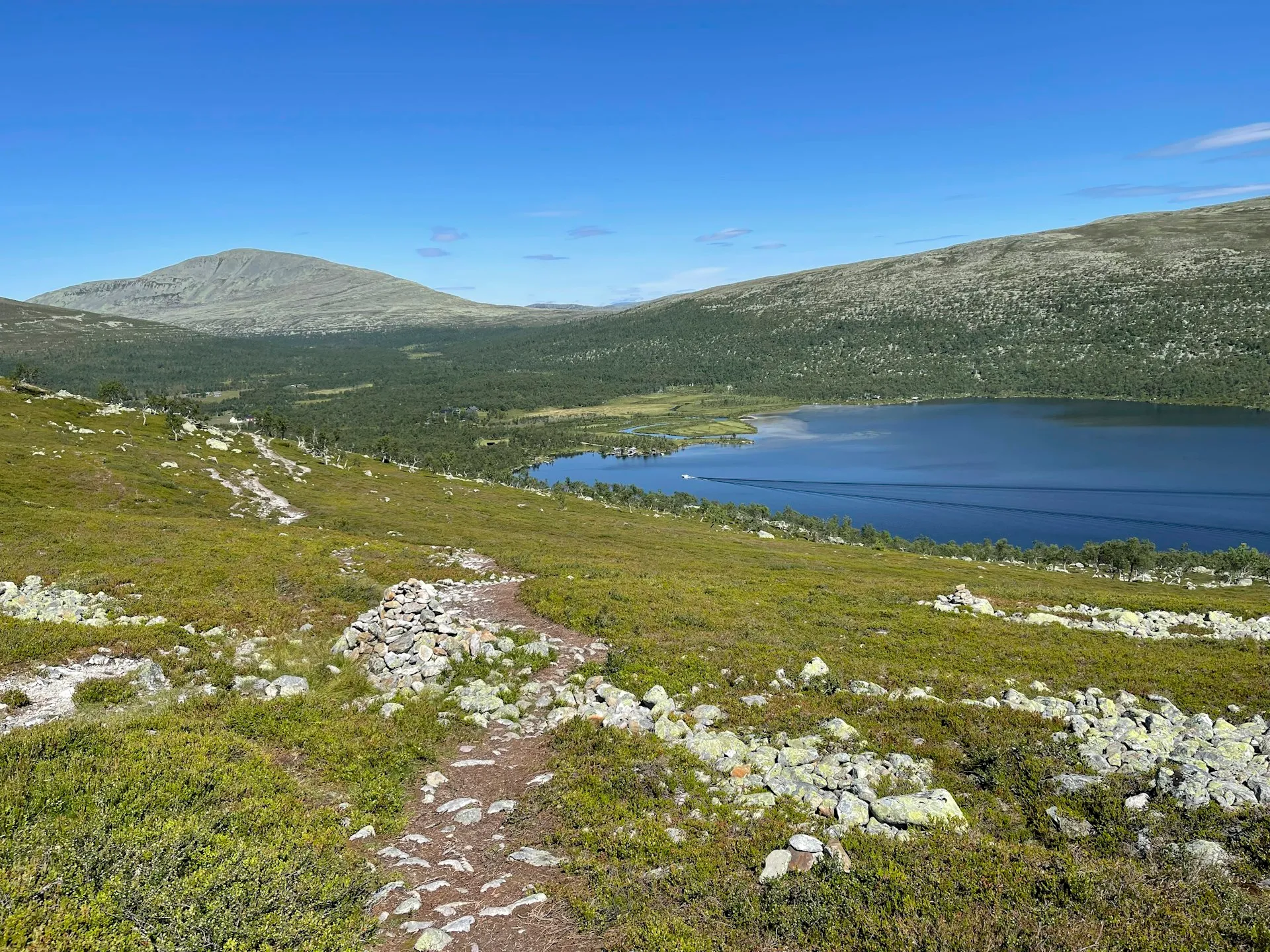 Vidsträckt fjällandskap i Idre med grävmaskin i terrängen
